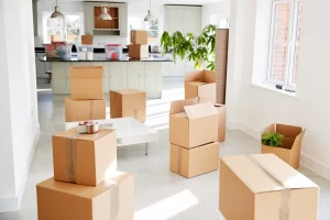 Servicio de mudanzas; Cajas de mudanza en un departamento